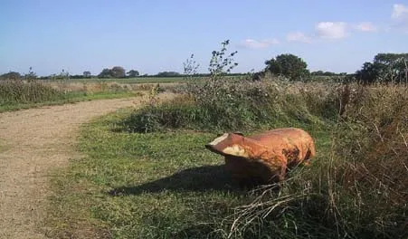 Nøffelskoven